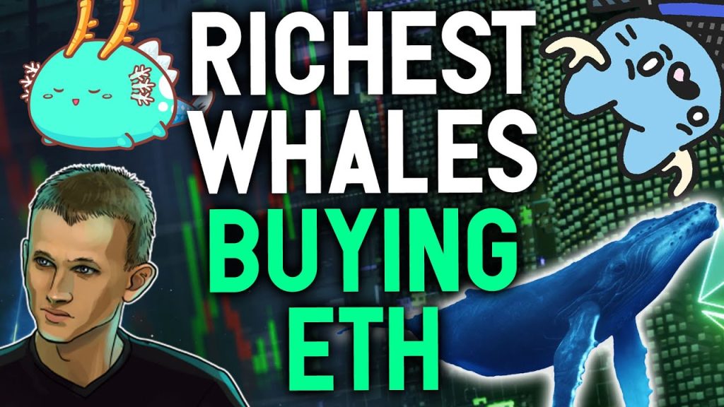 RICHEST WHALES ARE BUYING ETHEREUM I started buying too My strategy explained