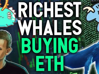 RICHEST WHALES ARE BUYING ETHEREUM! I started buying too! My strategy explained.