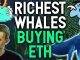 RICHEST WHALES ARE BUYING ETHEREUM I started buying too My strategy explained