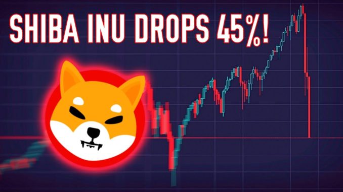 Shiba Inu Dumps 45% In 8 Days | Here's What You Need To Know