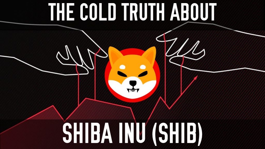 Shiba Inu SHIB | The Cold Truth Behind The Hype