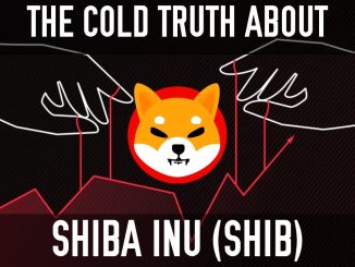 Shiba Inu (SHIB) | The Cold Truth Behind The Hype