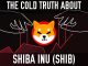 Shiba Inu SHIB | The Cold Truth Behind The Hype