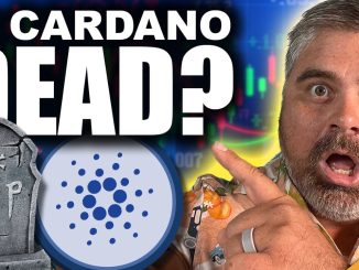 Cardano DEAD?!? Really Just Vaporware?!? TOP ADA EXPERT EXPLAINS