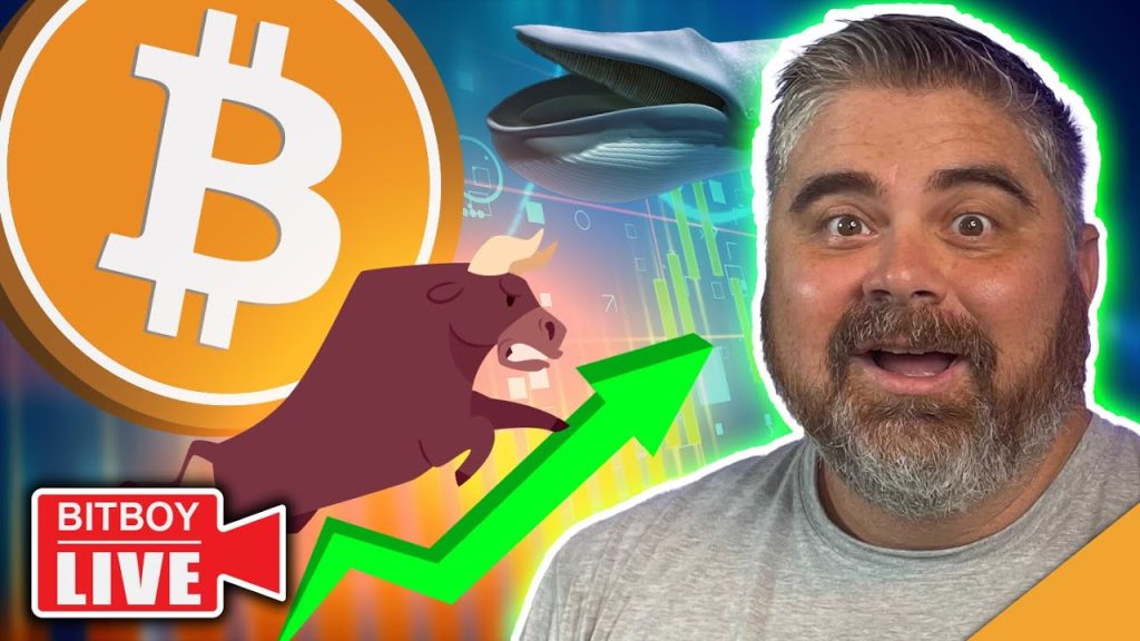 MONSTER Bitcoin Move Secured Next Crypto SURGE Ahead