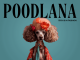 Poodlana goes viral ahead of highly anticipated launch