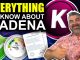 Kadena Everything You Need To Know