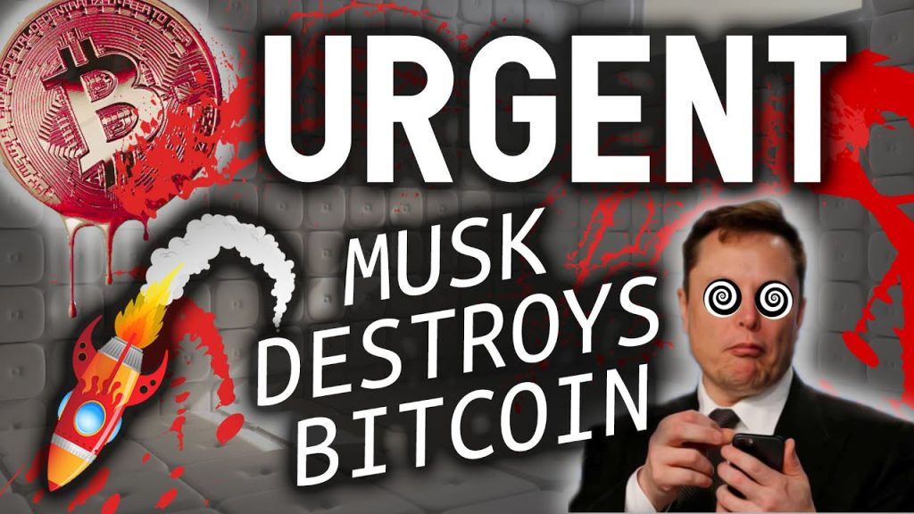 URGENT ELON MUSK JUST DESTROYED BITCOIN