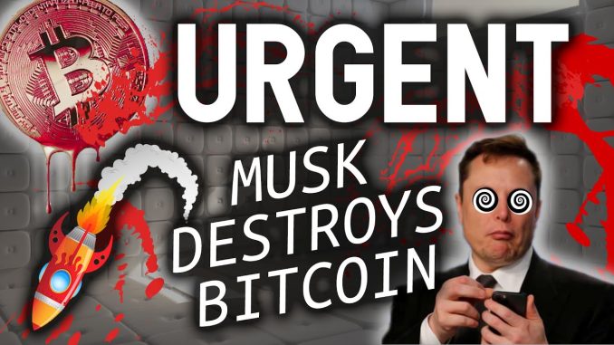 URGENT!! ELON MUSK JUST DESTROYED BITCOIN!!