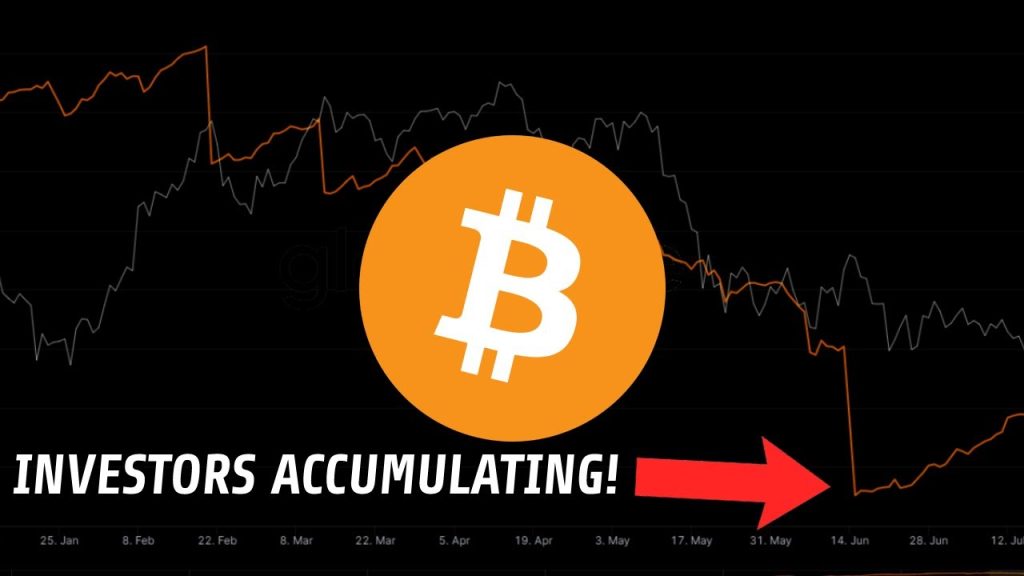 Bitcoin Insider | The Whales Arent Selling